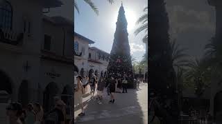 Disney Springs Christmas tree on Veterans Day Fishing tomorrow tight lines [upl. by Ramedlab]