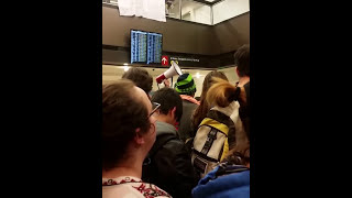 Megaphone Announcement During SeaTac Airport Protest Jan 28 2017 [upl. by Neale]