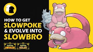 How to Get SLOWPOKE amp Evolve Into SLOWBRO Pokemon Scarlet and Violet [upl. by Almond]