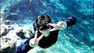 Swimming with Manatees in Three Sisters Springs in Crystal River [upl. by Anilrats736]