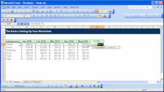 Excel Basics 001 Setting Up Your Worksheet [upl. by Einamrej]