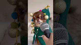 Dog Sings Funny Holiday Song 😂🎤 [upl. by Cherise]