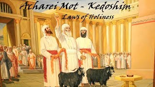 2930  Torah Parashot Acharei Mot  Kodeshim Laws of Holiness [upl. by Ahsilat]