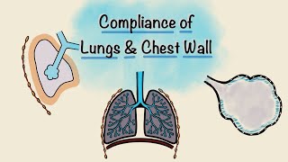 Lung and Chest wall Compliance  Breathing Mechanics  Respiratory Physiology [upl. by Elston]