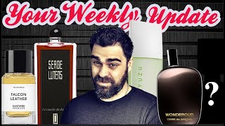 Weekly Update  Designer Samples  Test Drive  Niche Unboxing [upl. by Acisset]