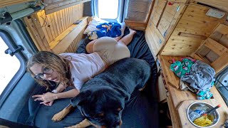 Micro Vanlife Camping With BIG DOG MR [upl. by Newbold]