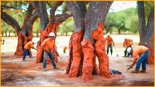 Cork Production Process  Harvesting MILLIONS of Trees to Produce TONS of Cork [upl. by Naasah]