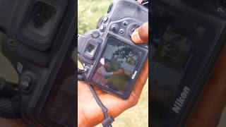 Nikon d3500 Mirrorless Camera Different Pose Photoshoot shorts youtubeshorts photography india [upl. by Hamnet105]