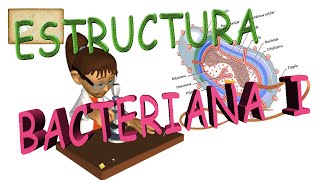 Estructura de una celula bacteriana I [upl. by Dierdre]