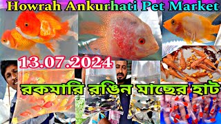 অঙ্কুরহাটির হাটে অনেক রকমারী মাছ  Howrah Ankurhati Pet Market  Ankurhati Fish Market  Pet Market [upl. by Ecirum]