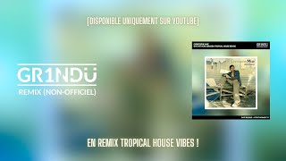 Christophe Maé  On Sattache GR1NDU Tropical House Remix [upl. by Aeel621]