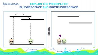 Explain the principle of Fluorescence and Phosphorescence  Analytical Chemistry [upl. by Kachine]