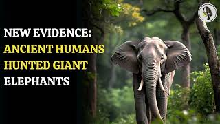 New Evidence Ancient Humans Hunted Giant Elephants  WION Podcast [upl. by Pooi]