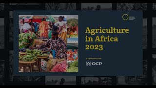 Improving the resilience of Africa’s agriculture sector [upl. by Harrow]