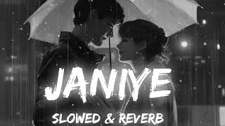 Janiye  Music Lyrics  Chor Nikal Ke Bhaga  Vishal Mishra Rashmeet Kaur SLOWED  REVERB [upl. by Ahker]