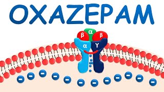 Oxazepam  Mechanism precautions side effects amp uses [upl. by Anirehs]