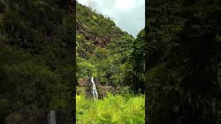 at waimea falls vibes aesthetic waterfall water peaceful hawaii [upl. by Notsa]