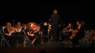 MCPS Spring Concerts 2018 Sentinel Orchestra p5 [upl. by Lehcyar]