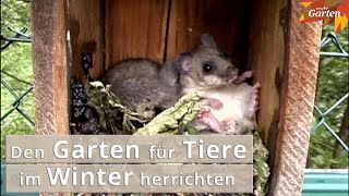 Traumgarten für Tiere  so helfen Sie Tieren im Winter  MDR Garten [upl. by Agatha600]