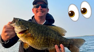 My Biggest Smallmouth Yet How Much did It Weigh [upl. by Oxley]