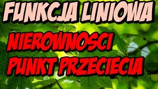 Funkcja liniowa nierówności liniowe punkt przecięcia się dwóch funkcji 4 [upl. by Shute]