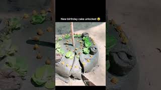 New design birthday partycake cake birthday birthdaycelebration comedy funny tranding shorts [upl. by Lebasiram]