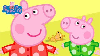 Peppa Pig English Full Episodes  Peppa Pig Season 1 Episodes  30 MIN  Cartoons for Children [upl. by Aeikan]