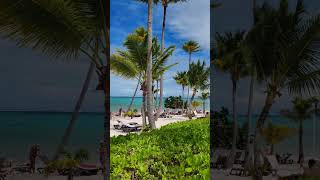 🇩🇴 Barcelo Bavaro Palace Punta Cana Domincan Rep🇩🇴🌴short shorts shortvideo bavaro puntacana [upl. by Eulalia183]