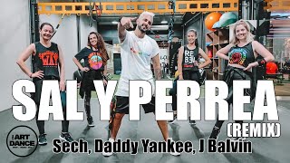 SAL Y PERREA Remix  Sech Daddy Yankee J Balvin  Zumba l Coreografia Oficial l Cia Art Dance [upl. by Lezned5]