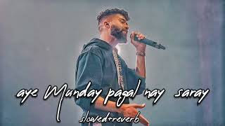 aye Munday pagal nay saray slowed  reverb lofi song by sinu jattt official video [upl. by Engamrahc424]