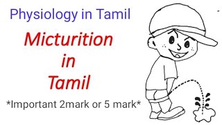 Micturition reflex in Tamil  Nerve supply and Anatomy of urinary bladder and urethra in Tamil [upl. by Warton]