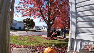 Craftsman T110 Riding Tractor With BaggerBP510 BackPack Blower Blowing leaves and Mowing Part 2 [upl. by Nosrak]