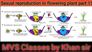 Sexual reproduction in flowering plant part 15 [upl. by Ethelinda770]