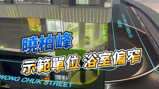 曉柏峰示範單位 樓底夠高 浴室偏窄 [upl. by Enedan]