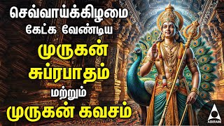 Tuesday Murugan Powerful Bakthi Padalgal  Murugan Devotional Songs [upl. by Marguerie592]