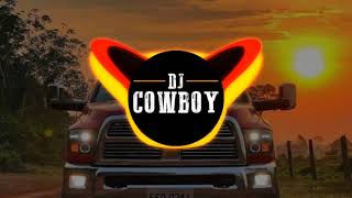 Guilherme e Benito  Flor Que Se Cheira REMIX  DJ Cowboy [upl. by Kenwrick]