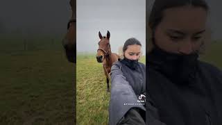 😔 cheval chevaux equestrian equitation vlog [upl. by Loomis]