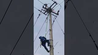 Birdnest removal process from the power transmission pole [upl. by Latsyk]