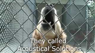 Dog Kennel Quieted by AlphaSorb Acoustical Panels [upl. by Barvick753]