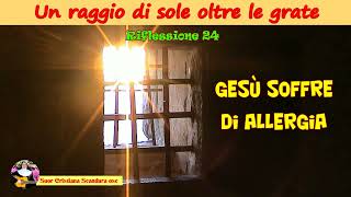 Gesù soffre di allergia  Riflessione 24  Suor Cristiana Scandura osc [upl. by Aelak311]