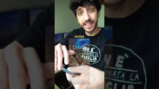 TRUCCO IPHONE  Come proteggerti meglio iphone iphonetricks fyp fypシ sicurezza [upl. by Novikoff]