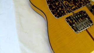 Hohner The Prince Telecaster Guitar [upl. by Eniotna454]