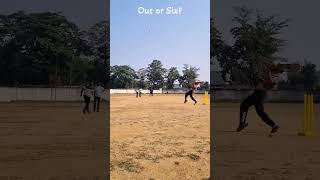 Out or six Umpiring skill cricket ytshorts youtubeshorts [upl. by Salinas]