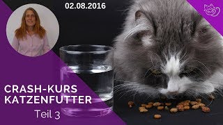 Katzenfutter🐱 Krank gefüttert  Wie gesund ist Dein Katzenfutter [upl. by Ermine]