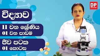 01 වන පාඩම ජීව පටක  01 කොටස  11 වන ශ්‍රේණිය විද්‍යාව [upl. by Jeremie546]