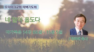 고난주간 특새 2  네 말이 옳도다 [upl. by Nwad]