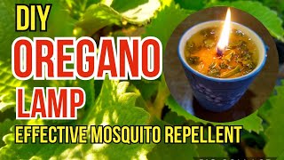 How to Make Oregano Oil Lamp  Health Benefits of Oregano  naturalmosquitorepellent [upl. by Boswall]