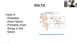 An Interesting Paper on Hyperinsulinemic Syndrome – Dr Berg [upl. by Enihpled]