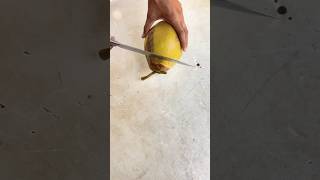 Coconut cutting coconut cuttingskills asmr satisfying youtubeshorts shorts [upl. by Hayila772]