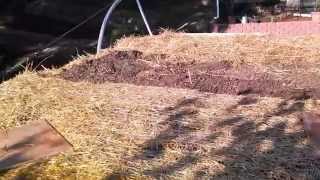 Green Roof Carport [upl. by Ignatius]